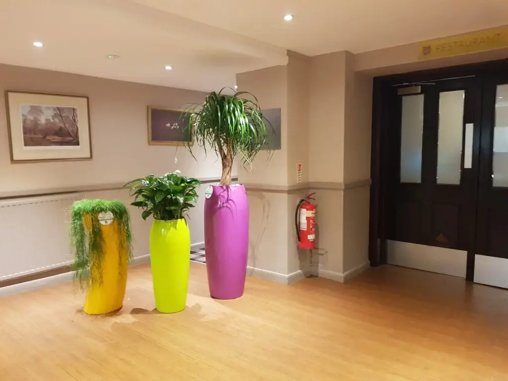 Scottish-interiors-showcase-4