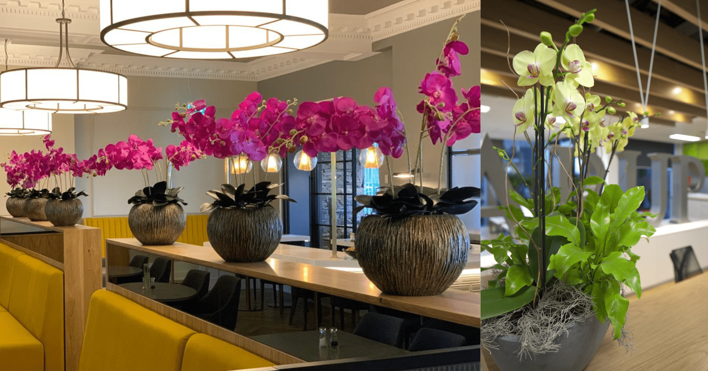 floral-design-trends-expected-in-2022