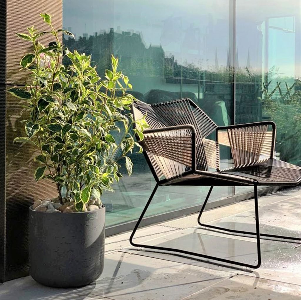 exterior plant in stylish natural stone effect planter brings a simple pop of colour and freshness to the Johnnie Walker Experience rooftop in Edinburgh.