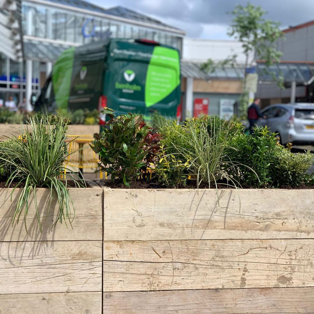 bespoke built timber planters with natural wild grasses and shrubs - perfect solution to dividing the pavement space in this retail park.