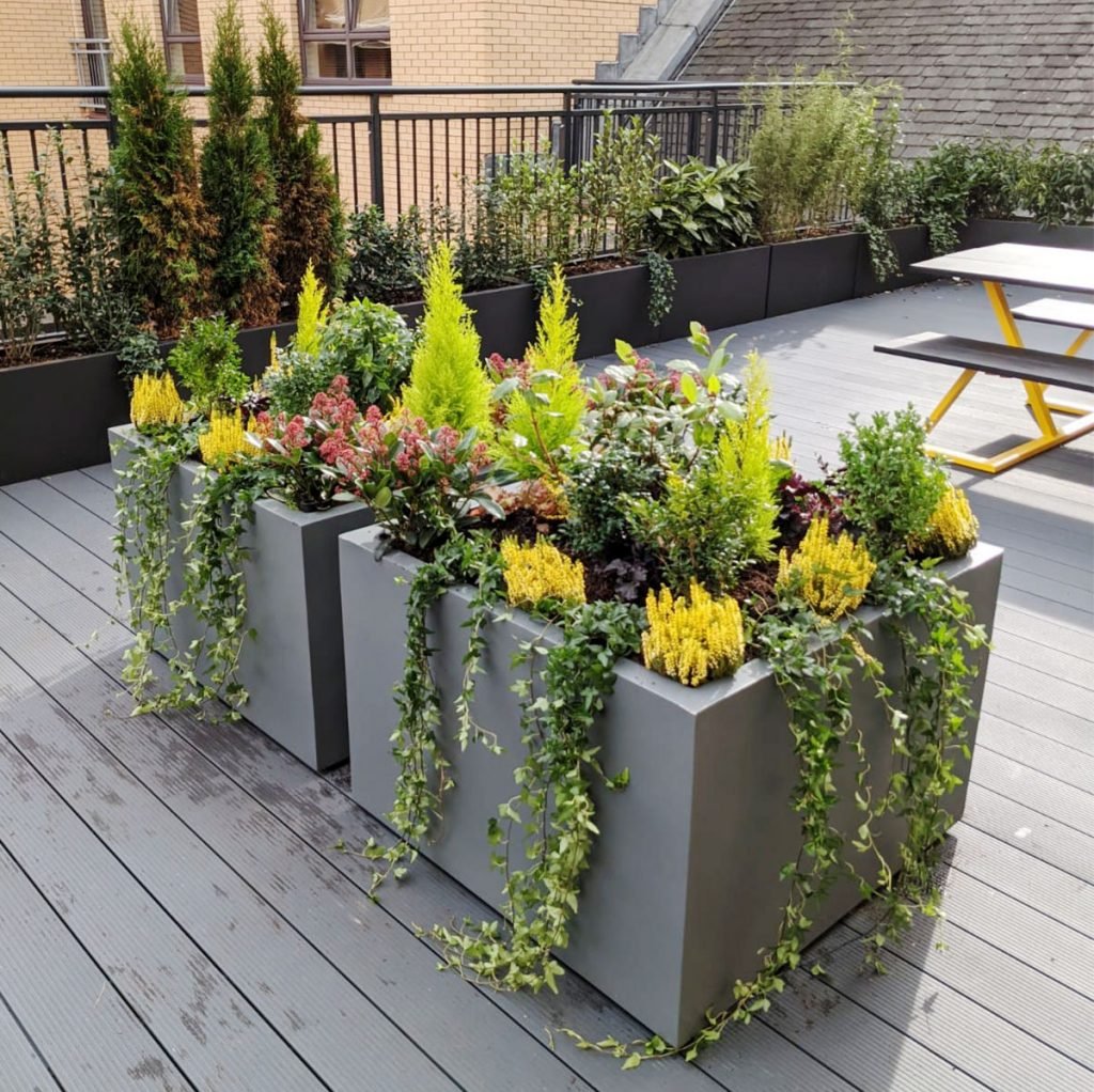 grey cube planters filled with small trees, colourful shrubs and trailing ivy bring an instant splash of colour to this exterior decking area.