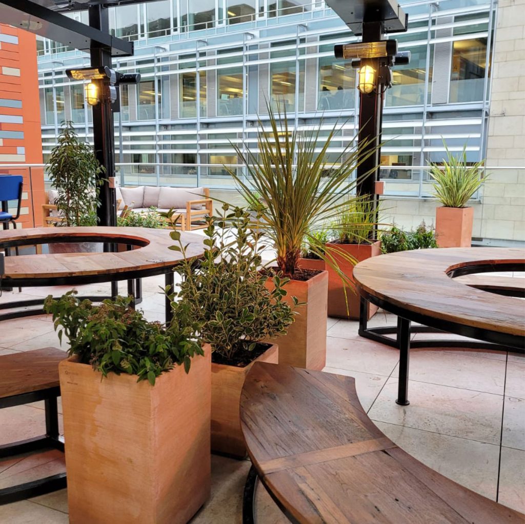 Terracotta planters with live wild grasses and shrubs add texture, colour and a relaxed rustic atmosphere to the Brewdog Edinburgh terrace.