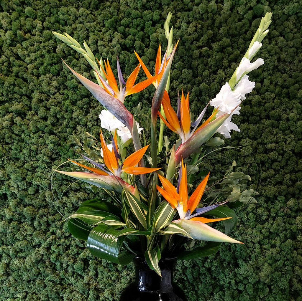 beautiful corporate display in black vase featuring birds of paradise and gladiolii