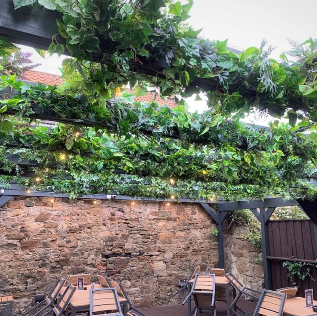 creeping ivy brings instant life and natural beauty to this pergola