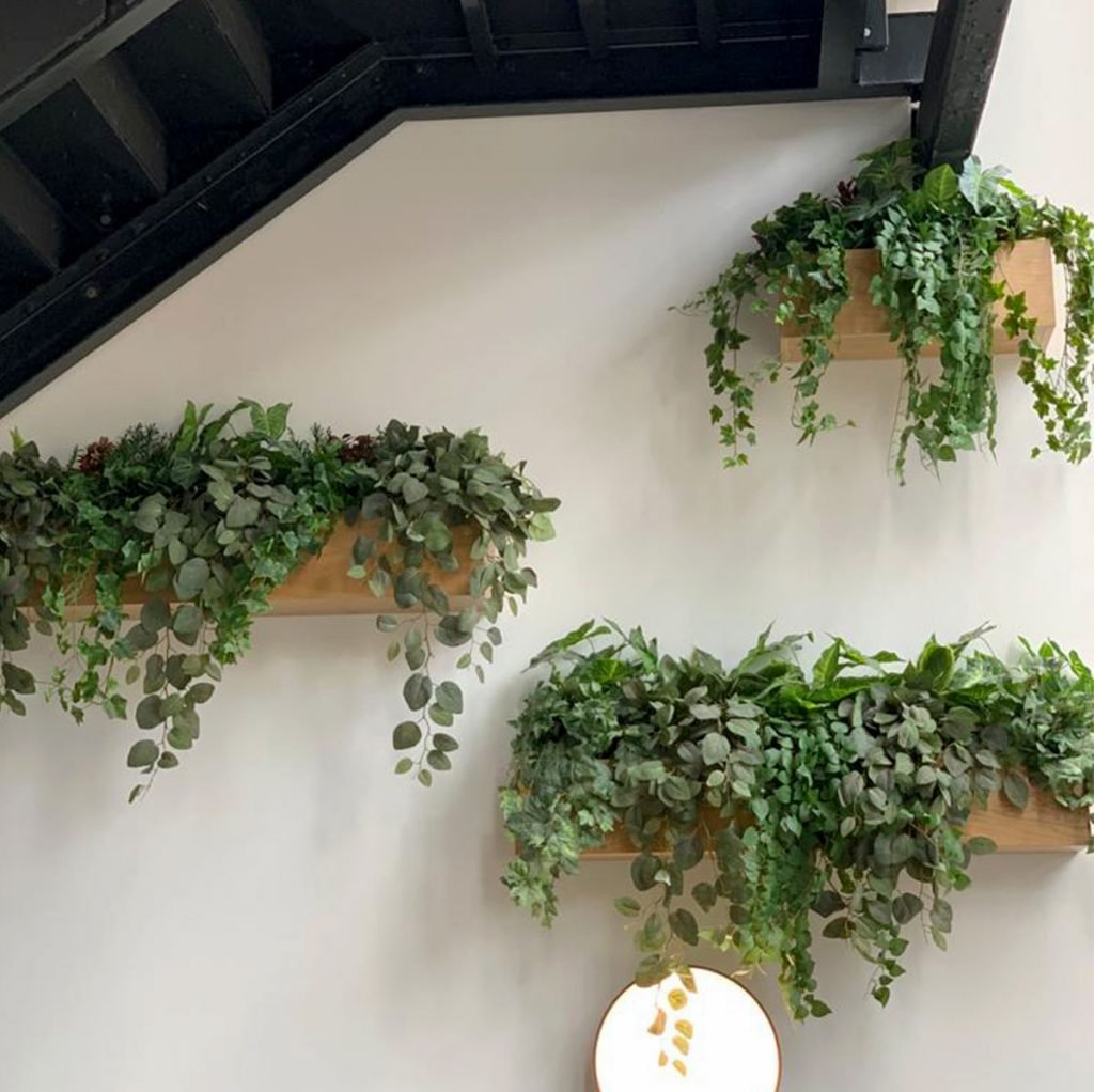 artificial green plants on wooden shelves are a beautiful way to decorate a blank wall.