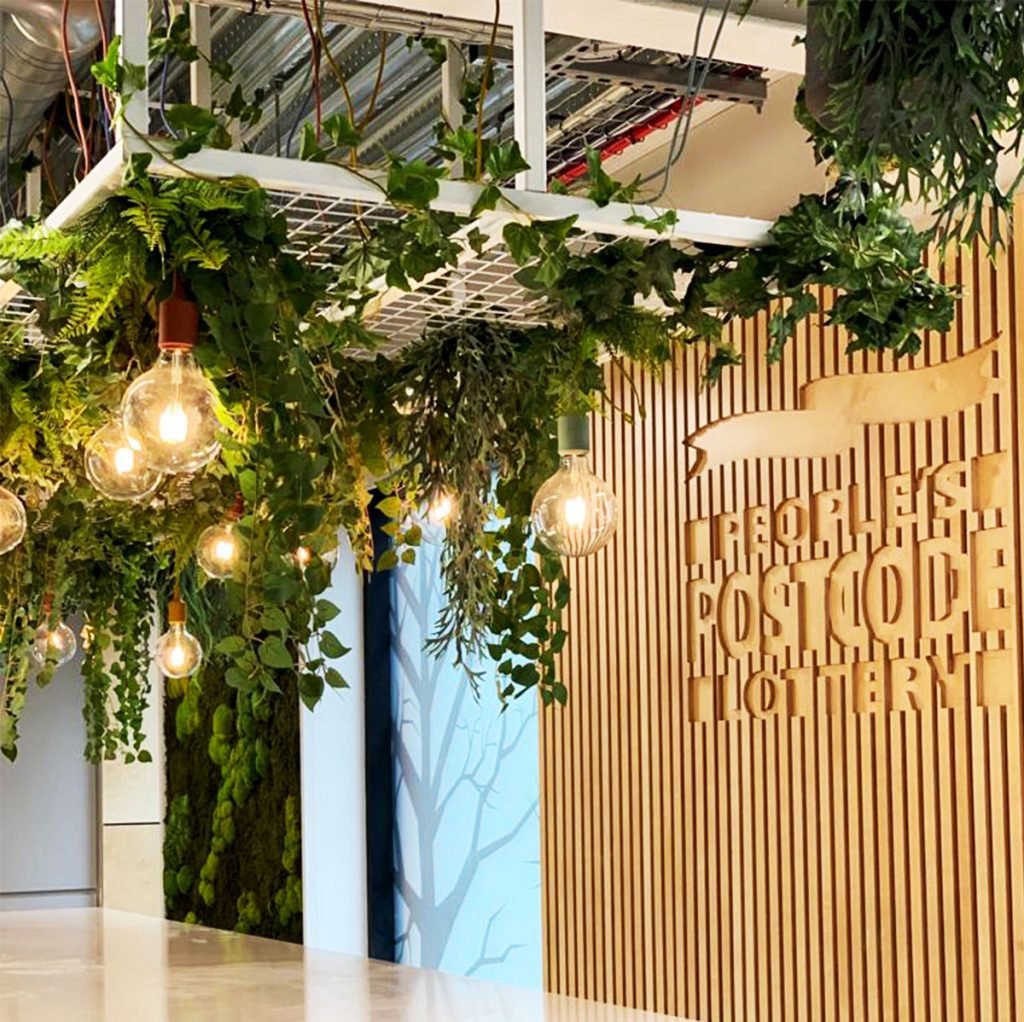 this ceiling raft at People's Postcode Lottery in Edinburgh gets a beautiful upgrade with artificial trailing plants and ivy bushes.