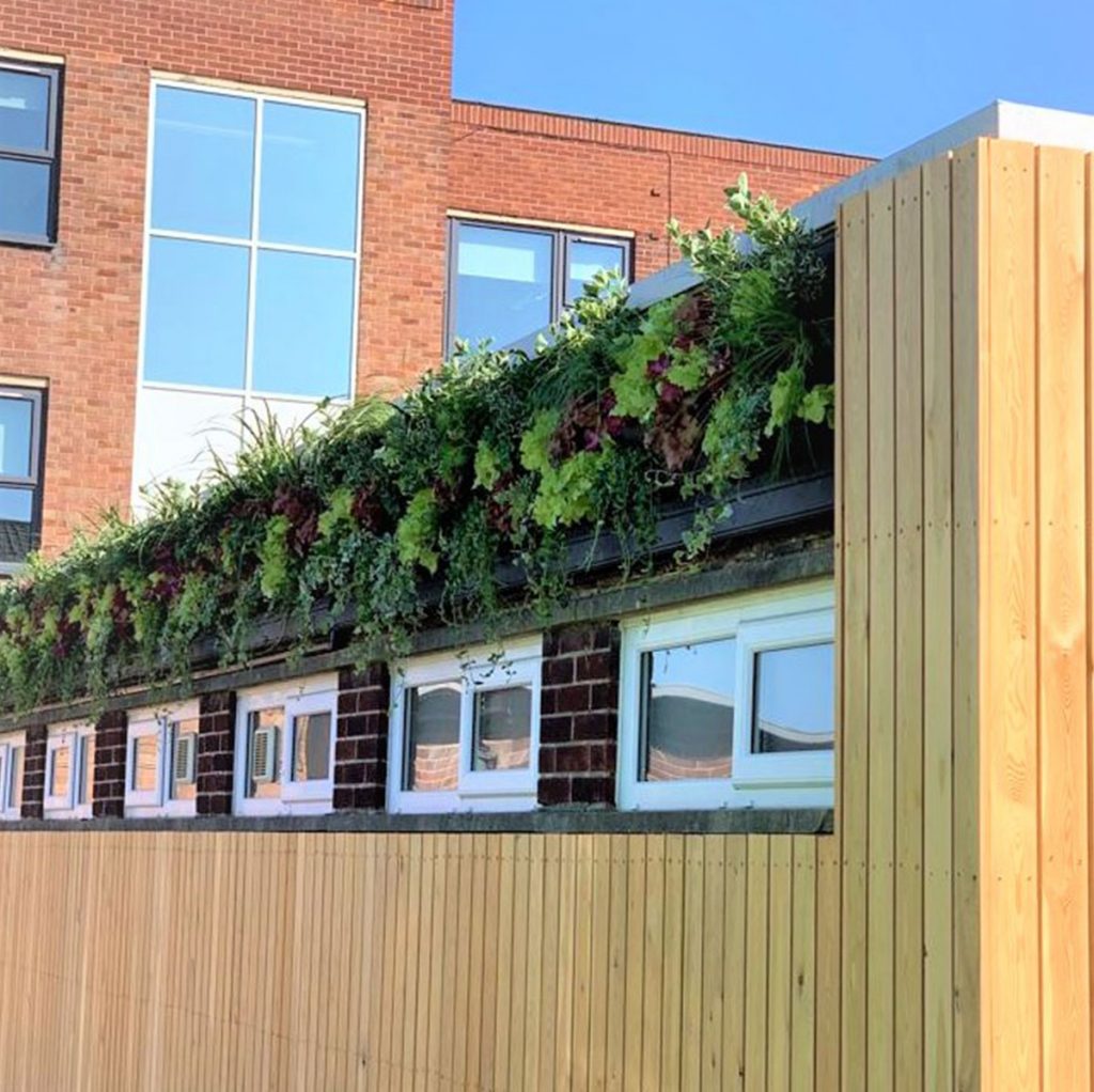 exterior living wall strip makes a beautiful impact and is a great way to add colour to a blank wall