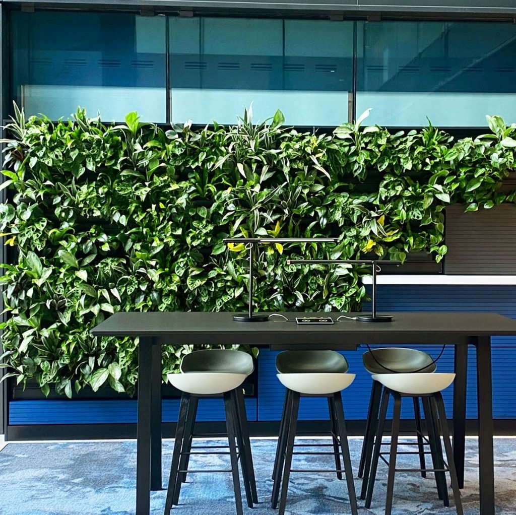 Stunning living wall is planted in tiers and breathes life to this corporate office area