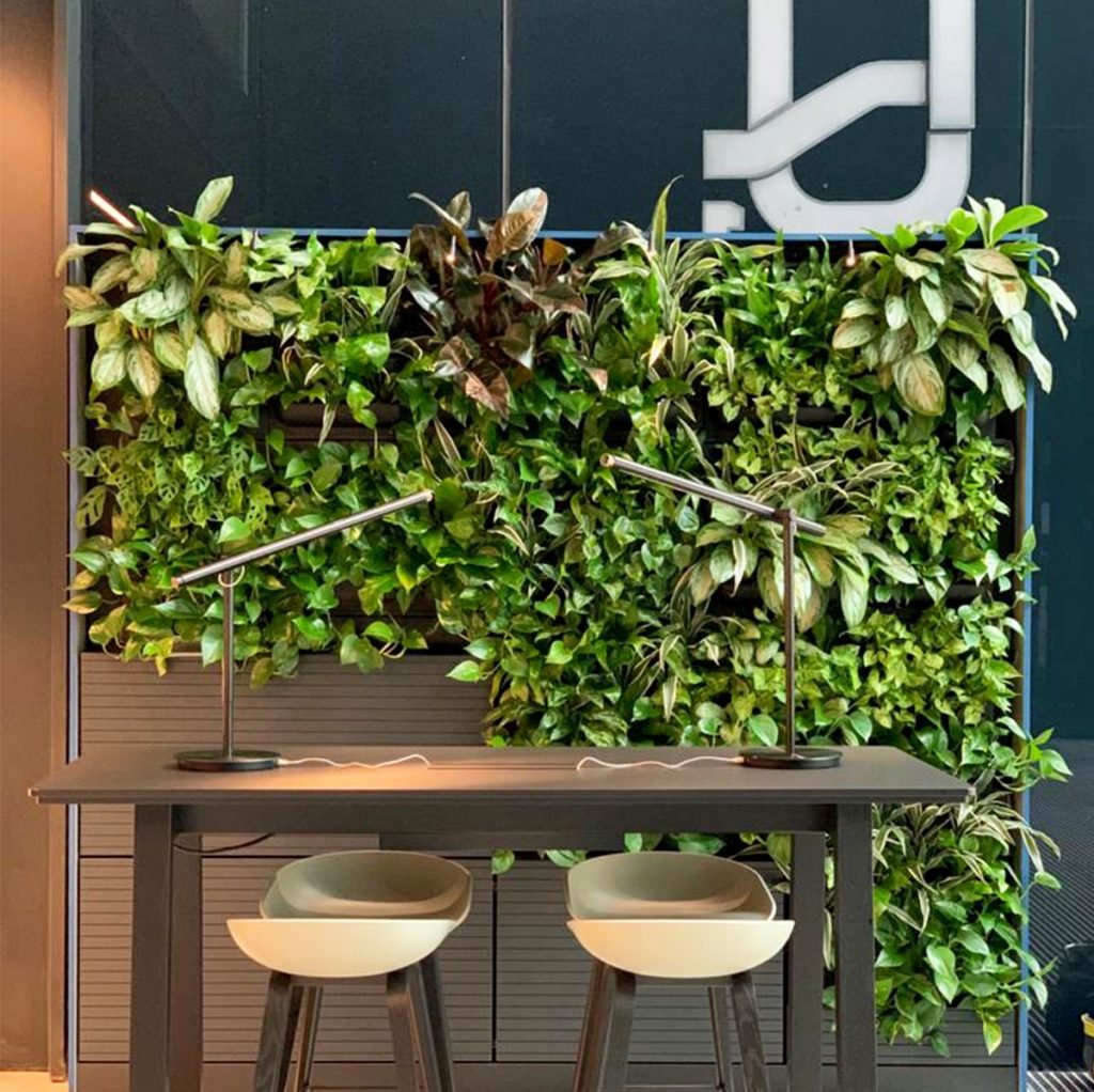 this lush living wall creates a beautiful backdrop behind the desks in this office interior