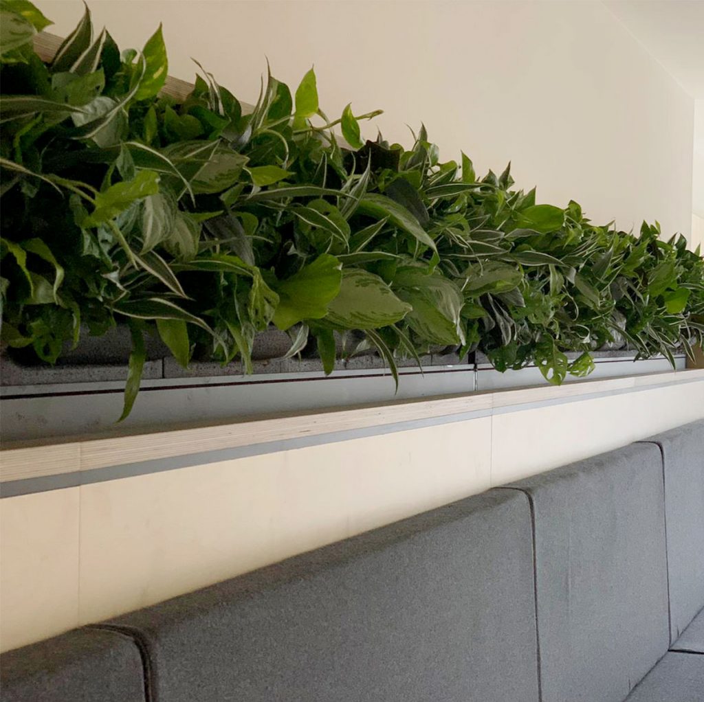 interior living wall strip makes a simple yet beautiful impact on the wall above the seating bench