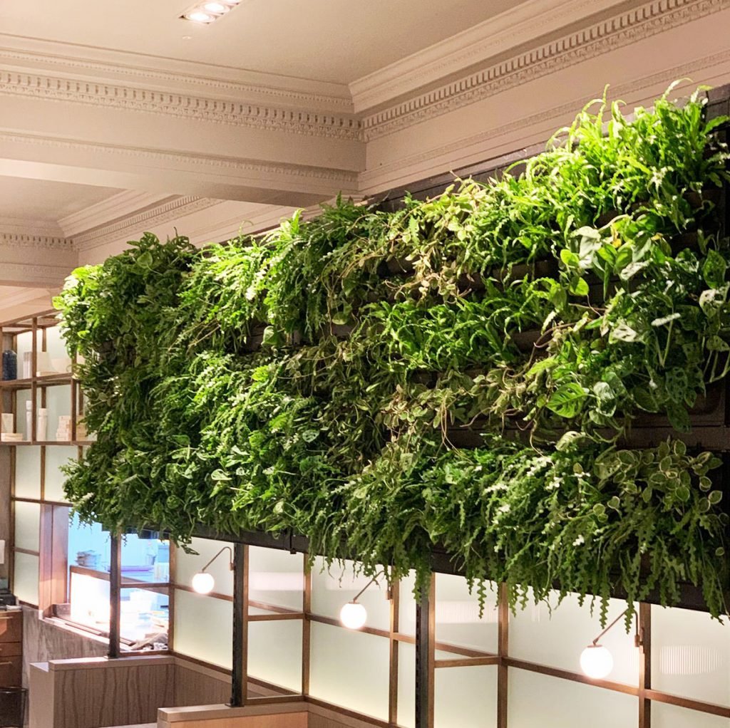 this 'floating' living wall was designed to imitate the plants found on the ocean floor; seaweed, long green tendrils and thick tangled bushes.