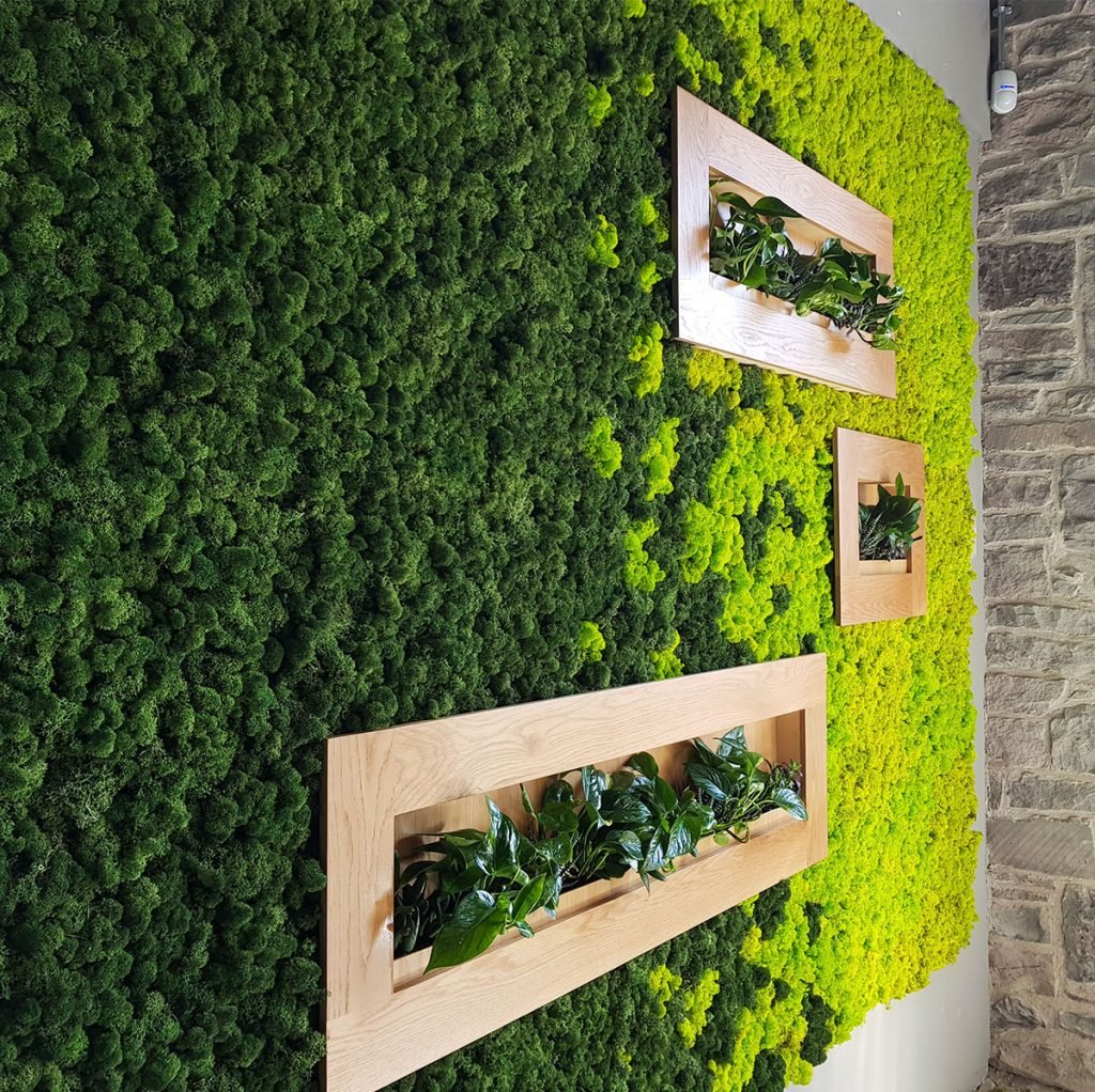 2 colours of Nordik Moss blend beautifully together in this artistic moss wall panel, immediately creating a statement piece within the room