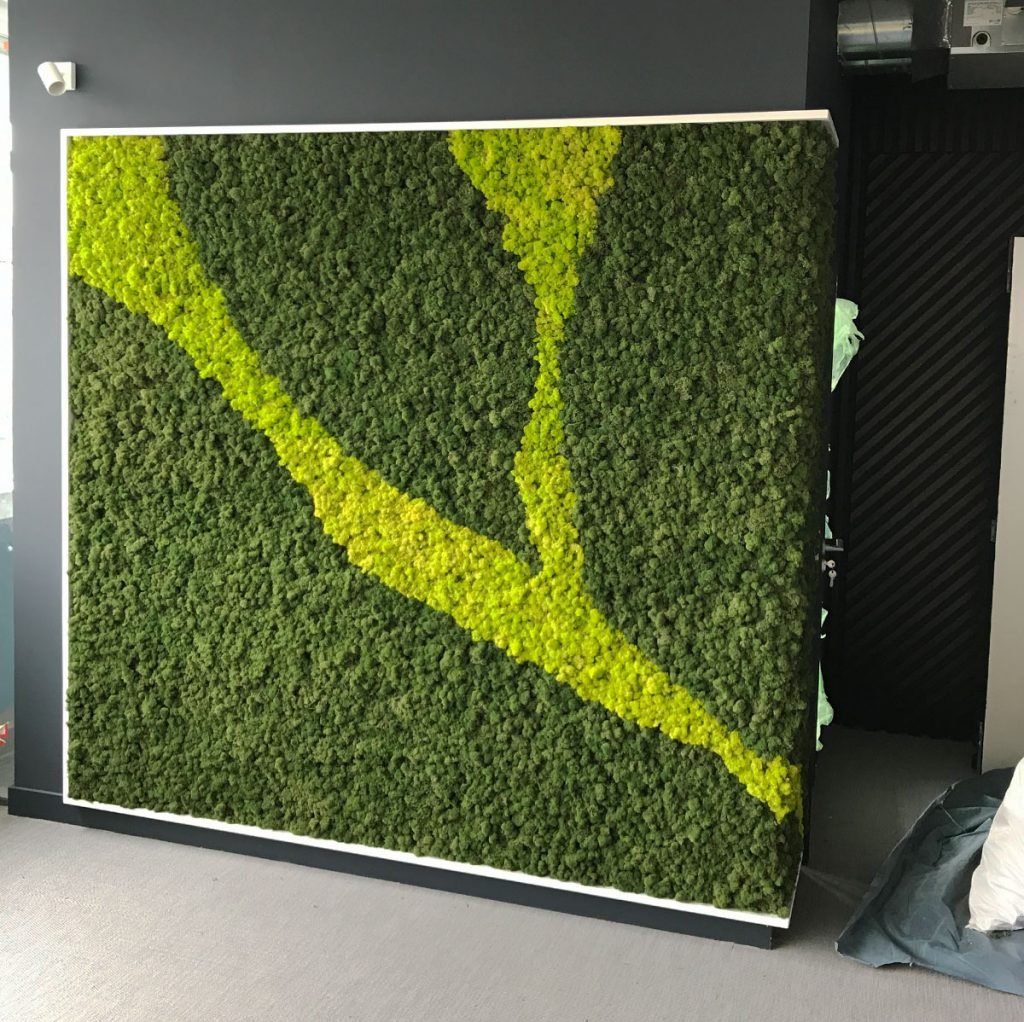 2 colours of Nordik reindeer moss flow together in this striking design, creating a soft, elegant and unique feature wall.