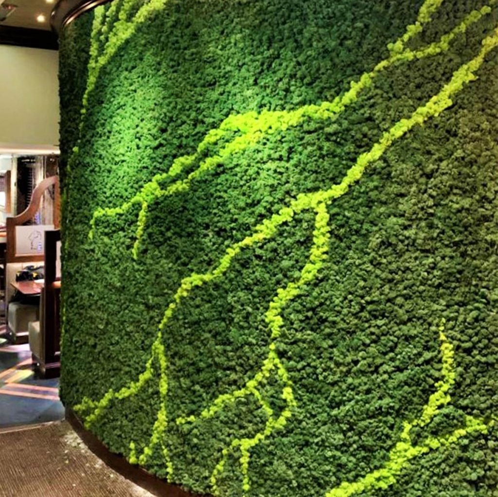 This stunning, curved Nordik moss wall was designed to feature a marble effect, combining 2 colours of Nordik reindeer moss and carefully made to create a spectacular feature within the Ingliston Equestrian Centre restaurant.