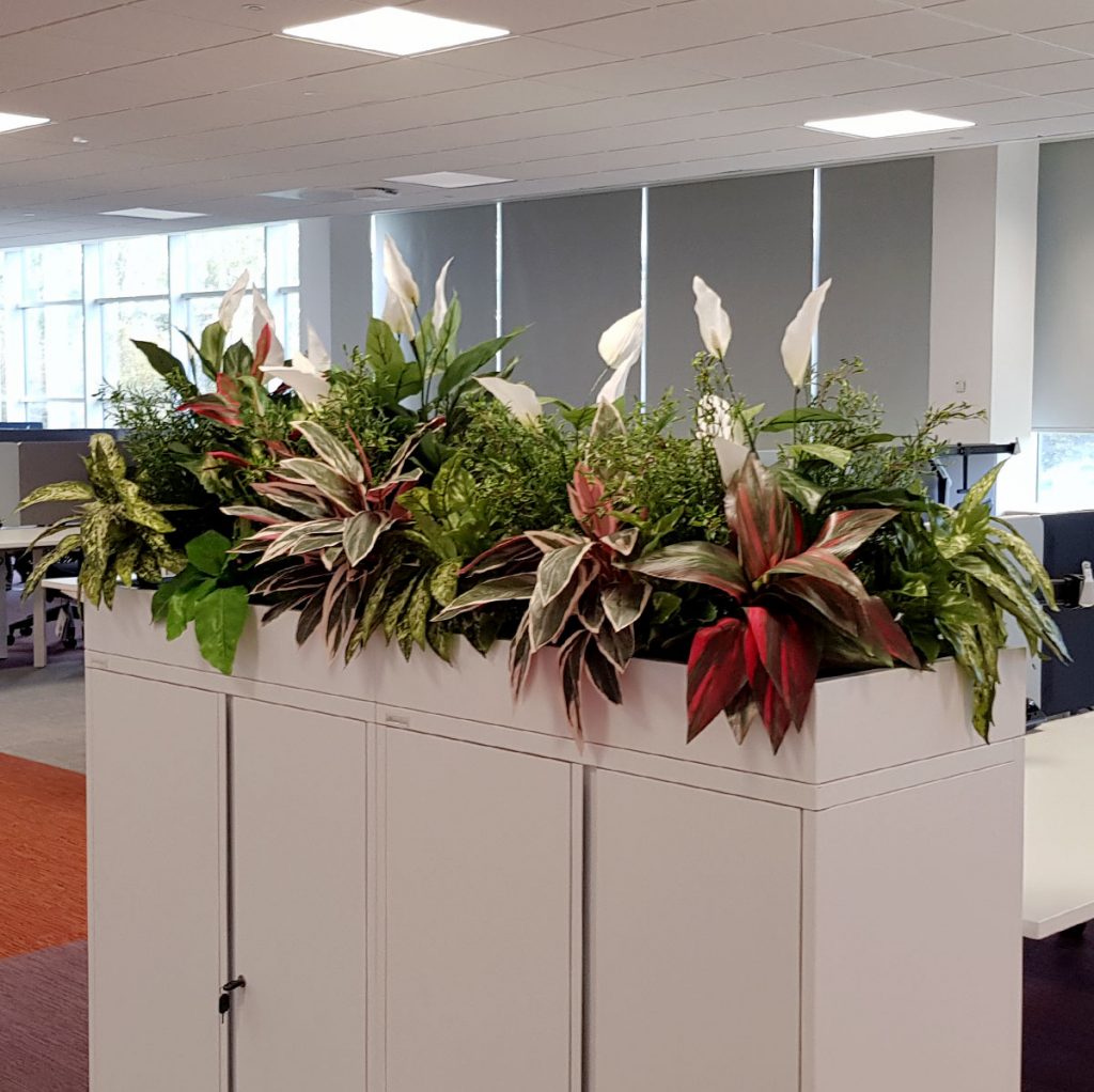 mixed artificial plants set within white cabinet top planter in a corporate office