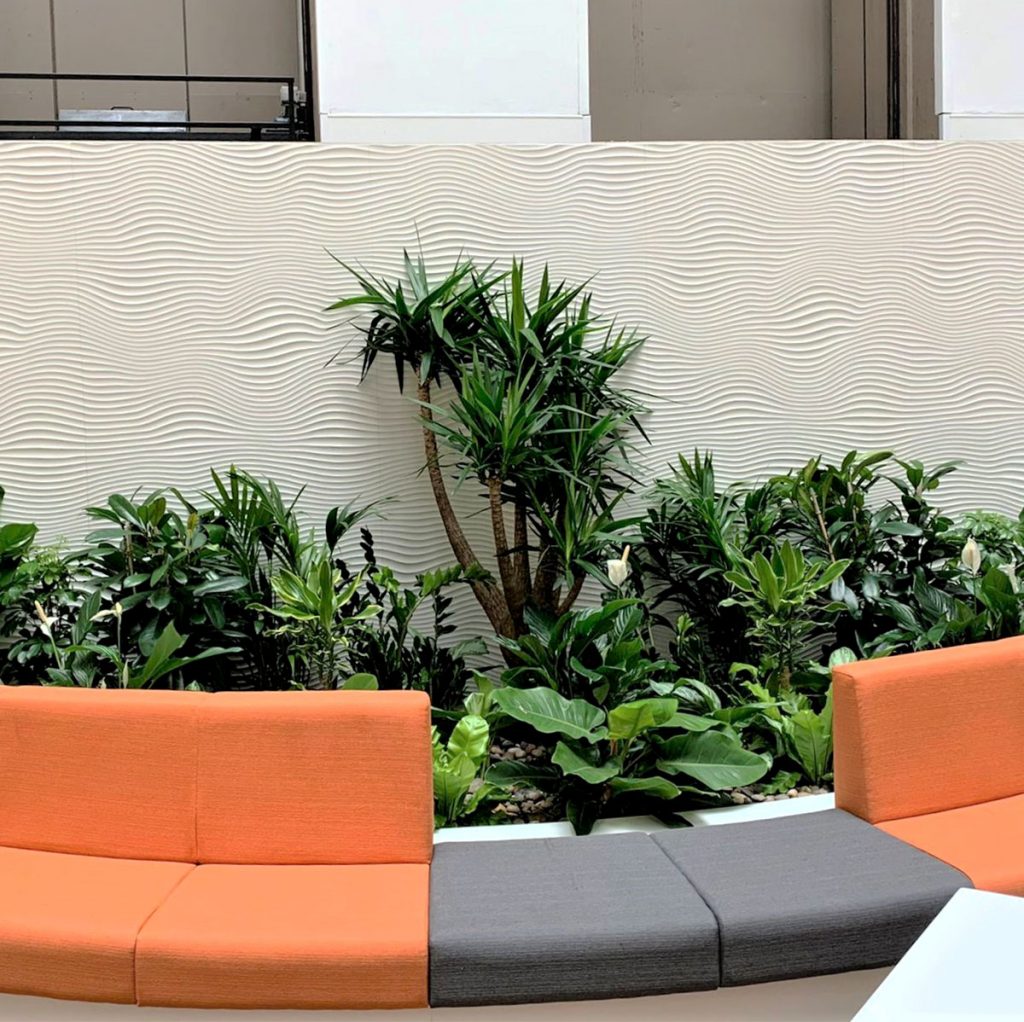 mixed live plant display behind the seating in an open space office area