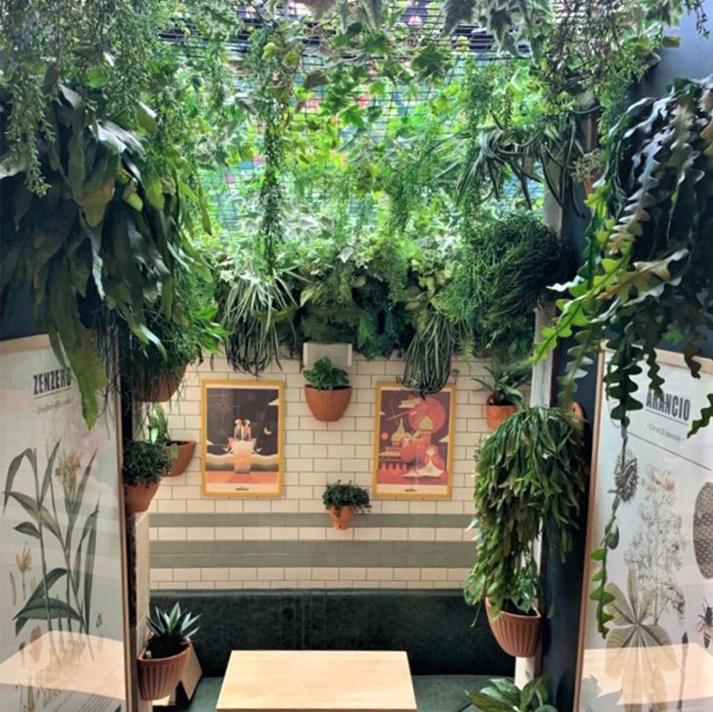 artificial green plants trailing across the ceiling with live trailing plants in terracotta wall planters in a restaurant