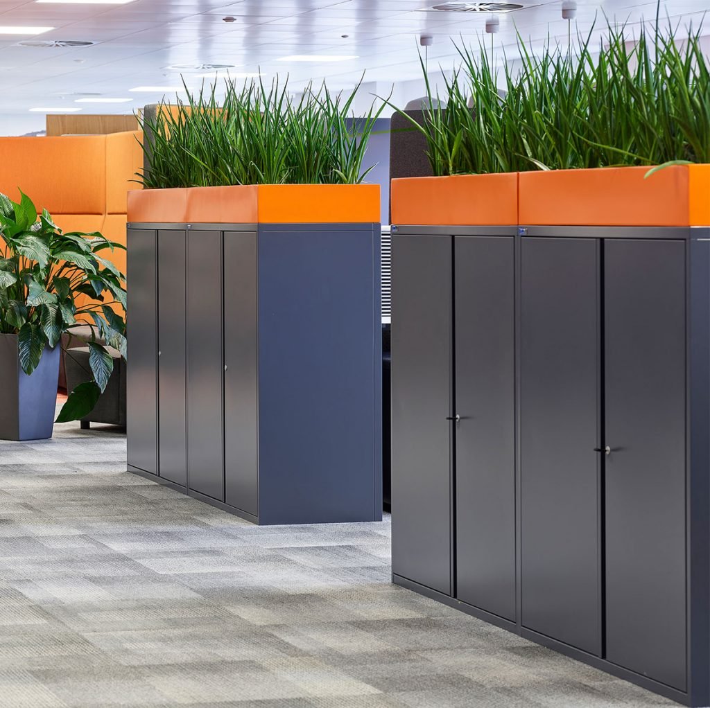 orange cabinet top planters mass planted with live Sansevieria Kirkii Friends plants to create barriers in an open plan office area