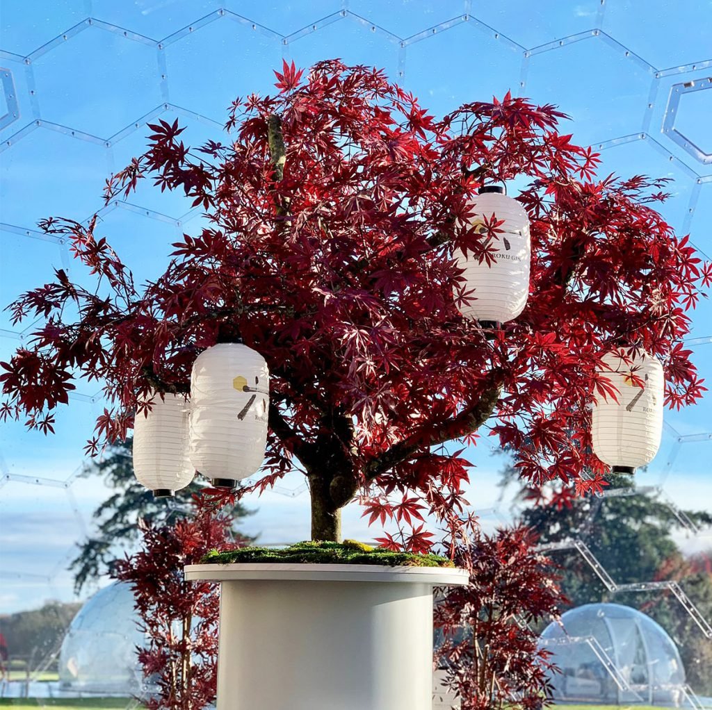 artificial bespoke built red maple tree fixed on top of a bar inside a glass dome restaurant
