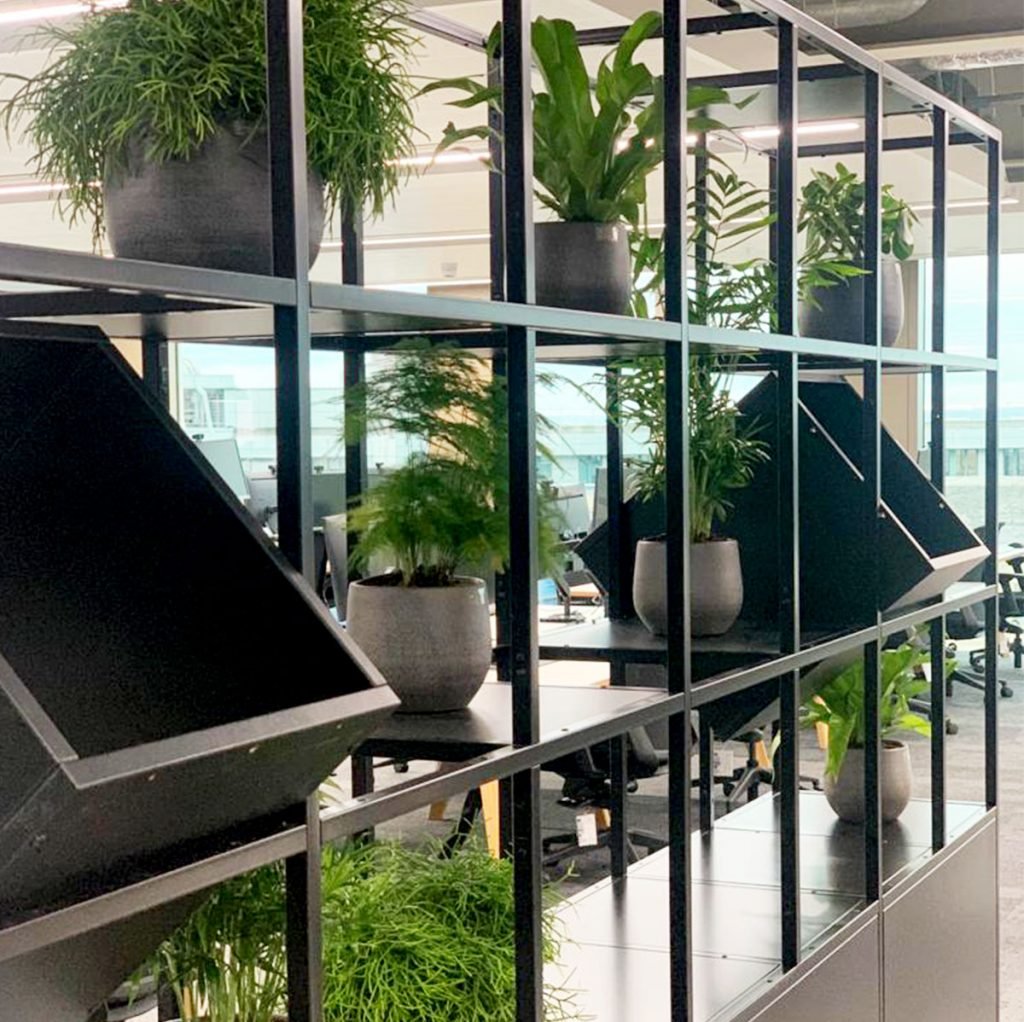 small round grey planters with live plants set on a grid shelving system within an open space office area to create a barrier within the room