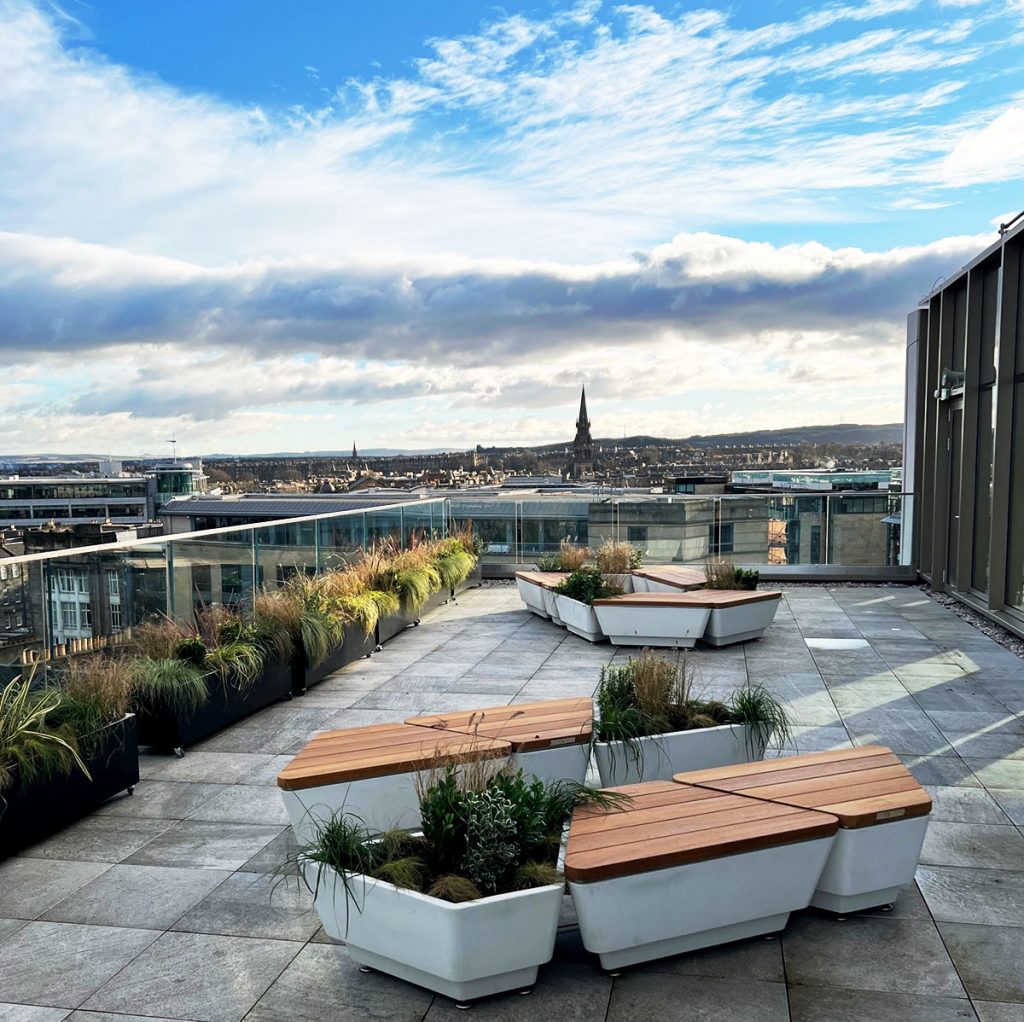 low trough planters filled to bursting with live wild grasses and shrubs make a beautiful impact on this stunning corporate balcony in the heart of Edinburgh