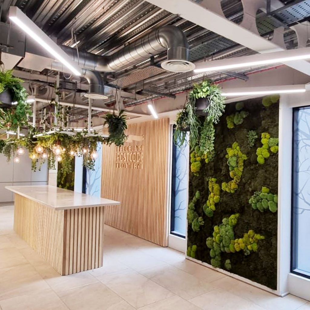 Our randomly designed mixed bun & reindeer Nordik moss walls looked so perfect within this streamlined interior at People's Postcode Lottery in Edinburgh.