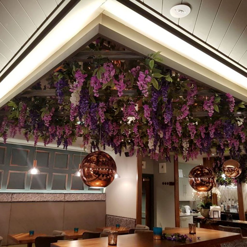 purple wisteria blossom fixed to the ceiling and trailing down to create a stunning ceiling display at the grape and grain in aberdeen