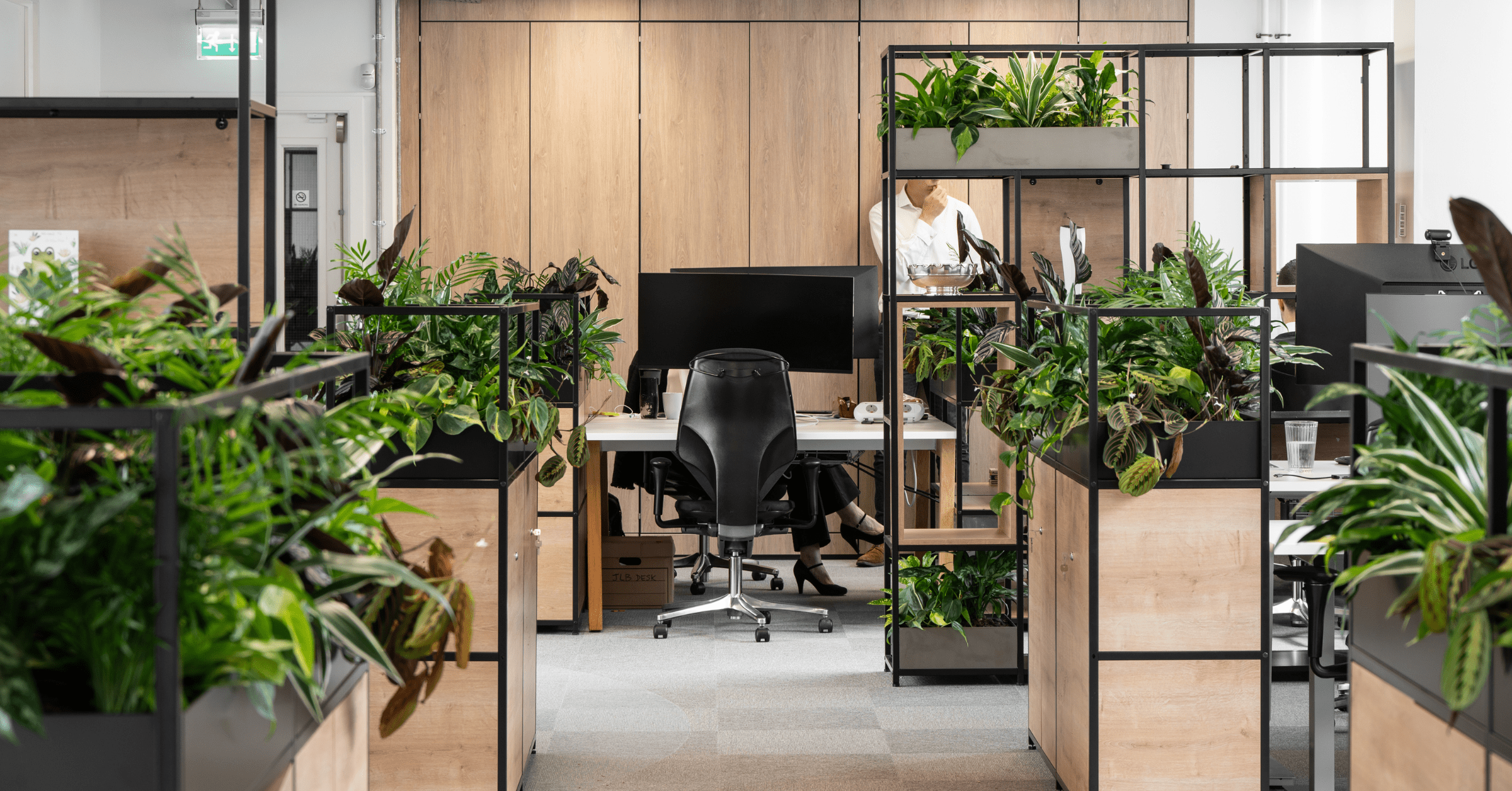 plants-reduce-absenteeism-in-the-workplace-featured-image-1