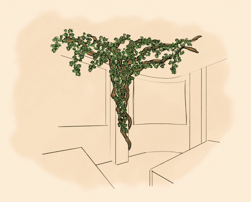 The-value-of-biophilic-design-4