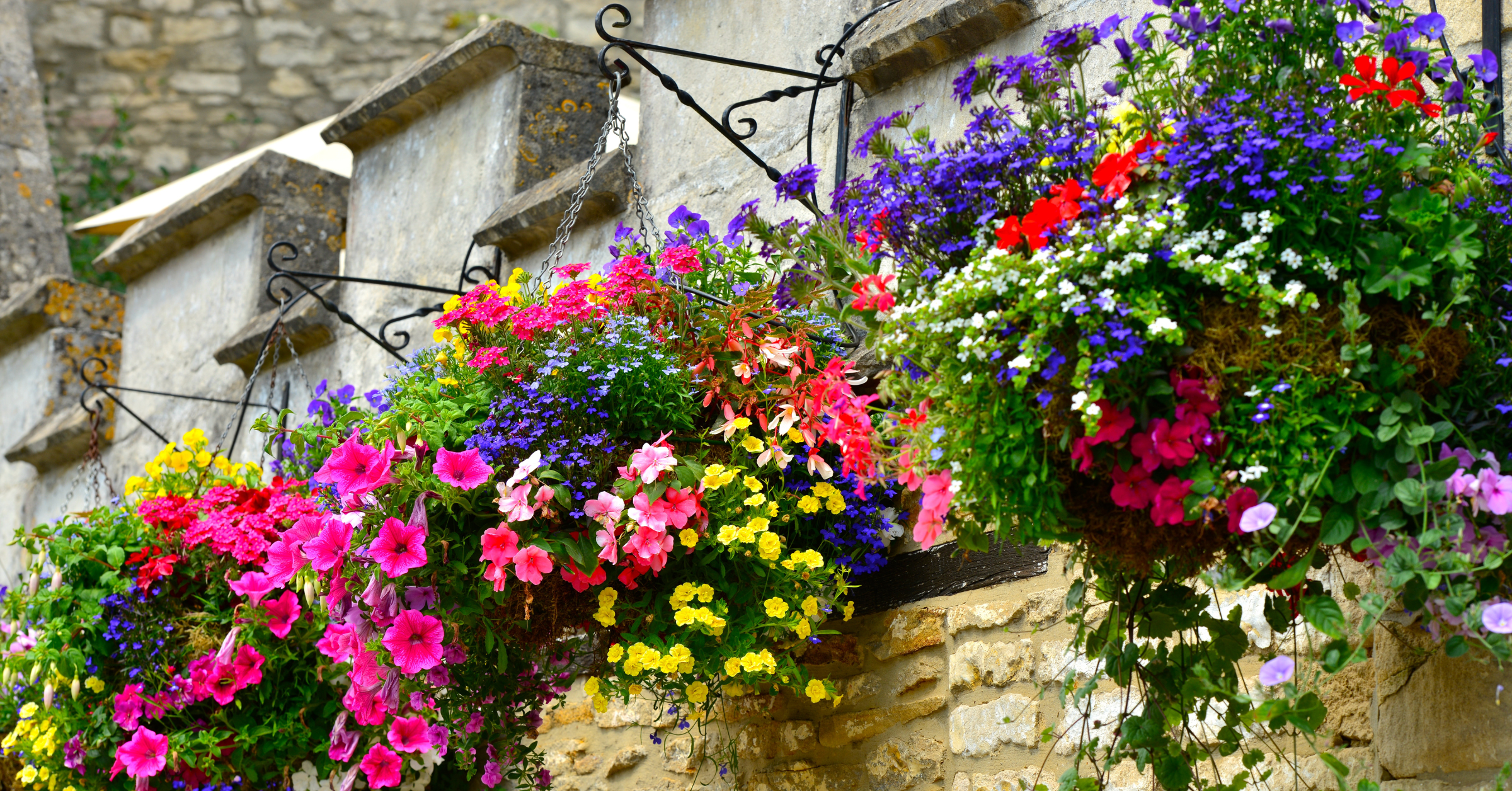 when-is-the-best-time-to-get-hanging-baskets-featured-image