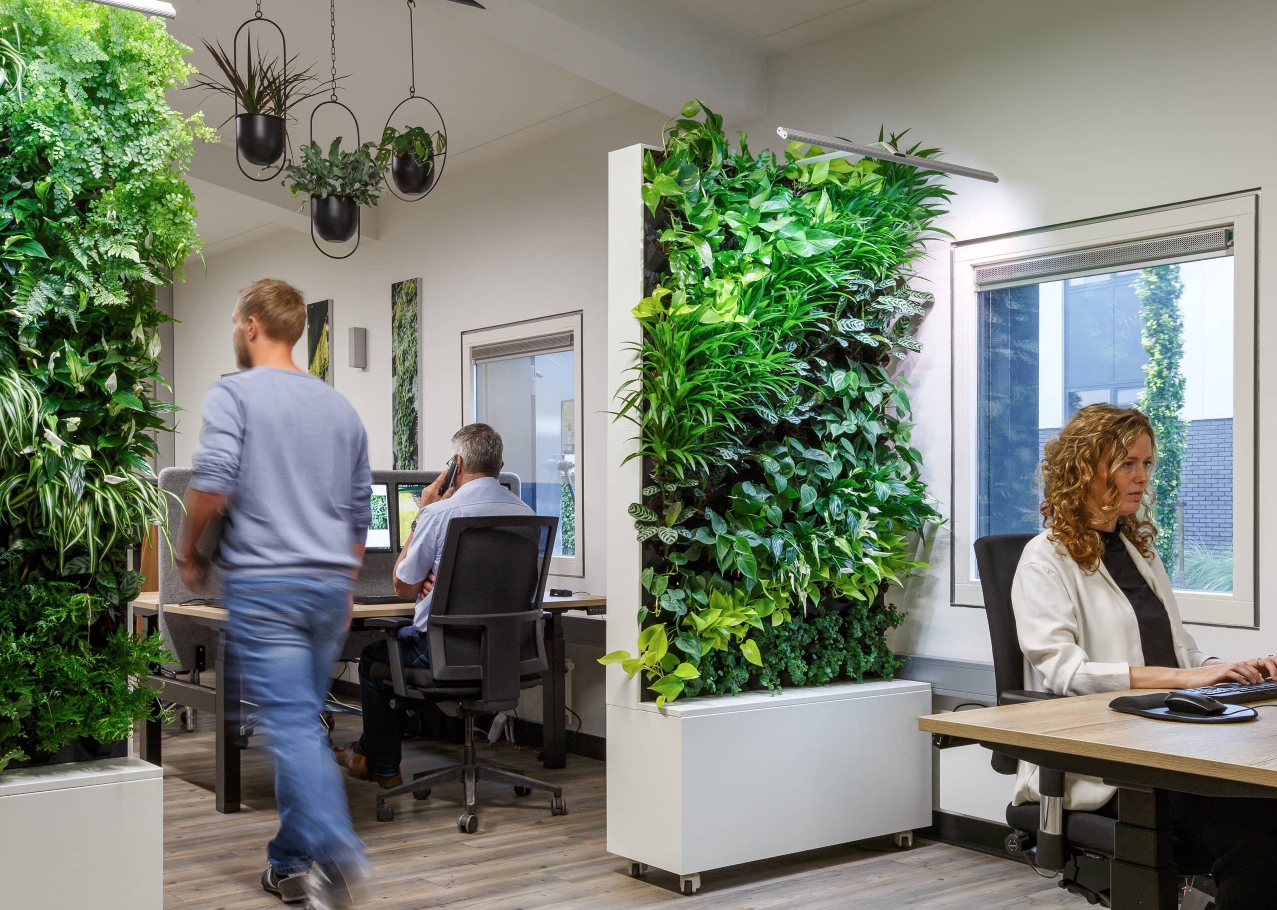 summer-product-launches-1