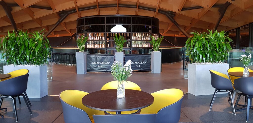 Grey troughs planted with lush Dracaenas make a great display for this eating area