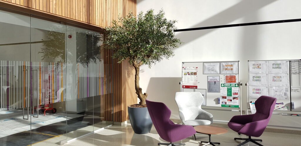 biophilic-design-on-a-budget-1