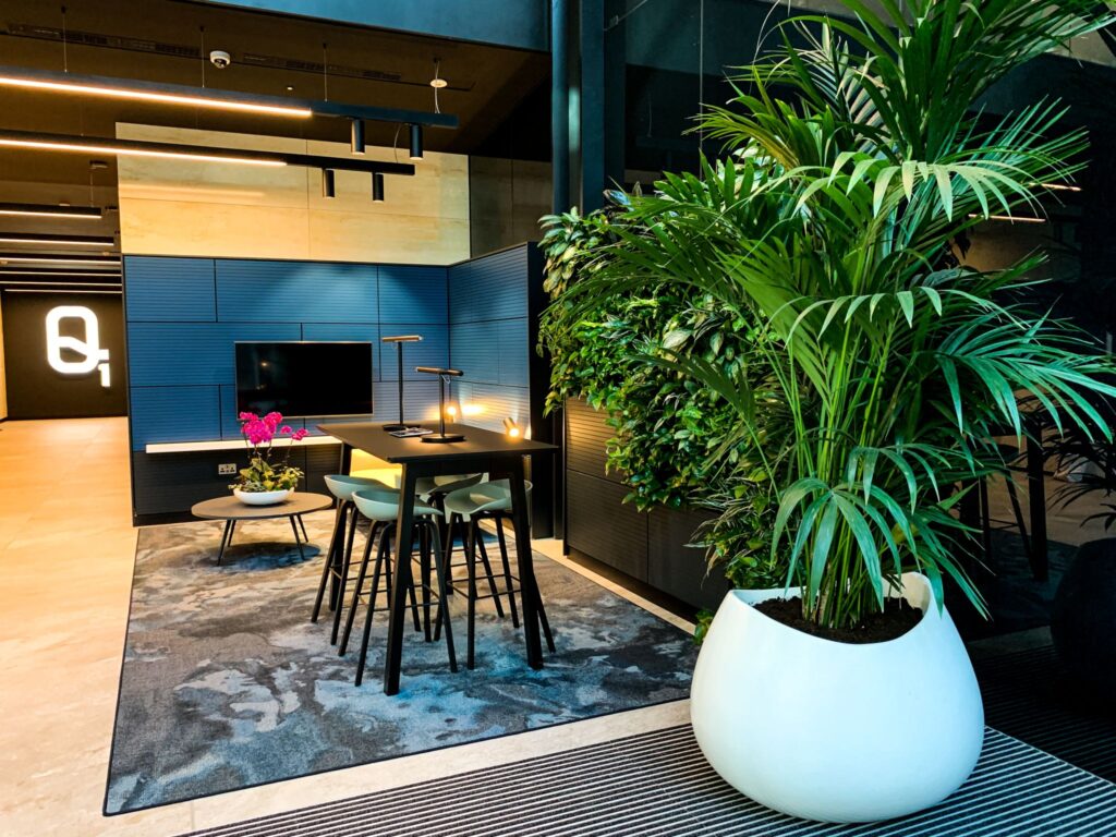 biophilic-design-on-a-budget-2