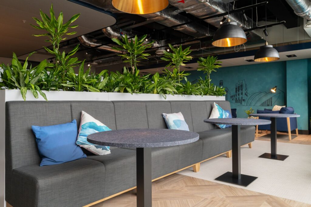 These tall live dracaenas between low mixed live plants create a nice barrier for these seats.