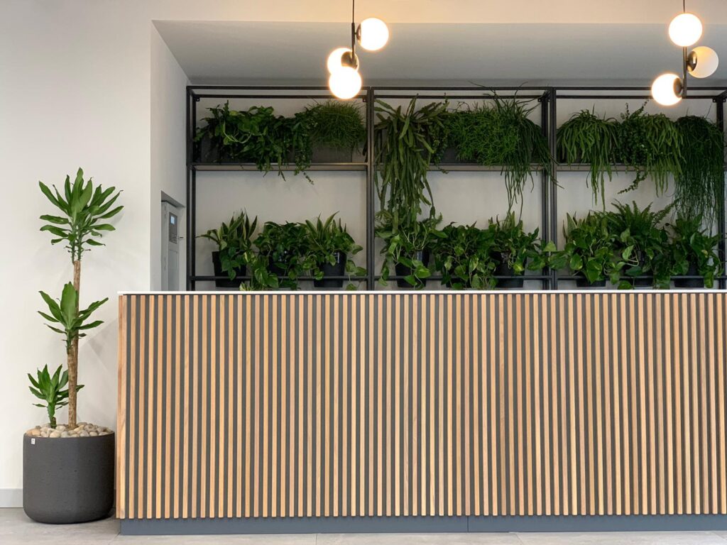 Lots of live planting on shelves create a unique natural atmosphere to this reception desk