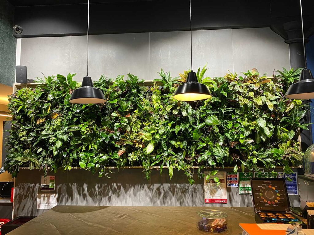 This living wall in a corporate kitchen provides a natural, comforting atmosphere