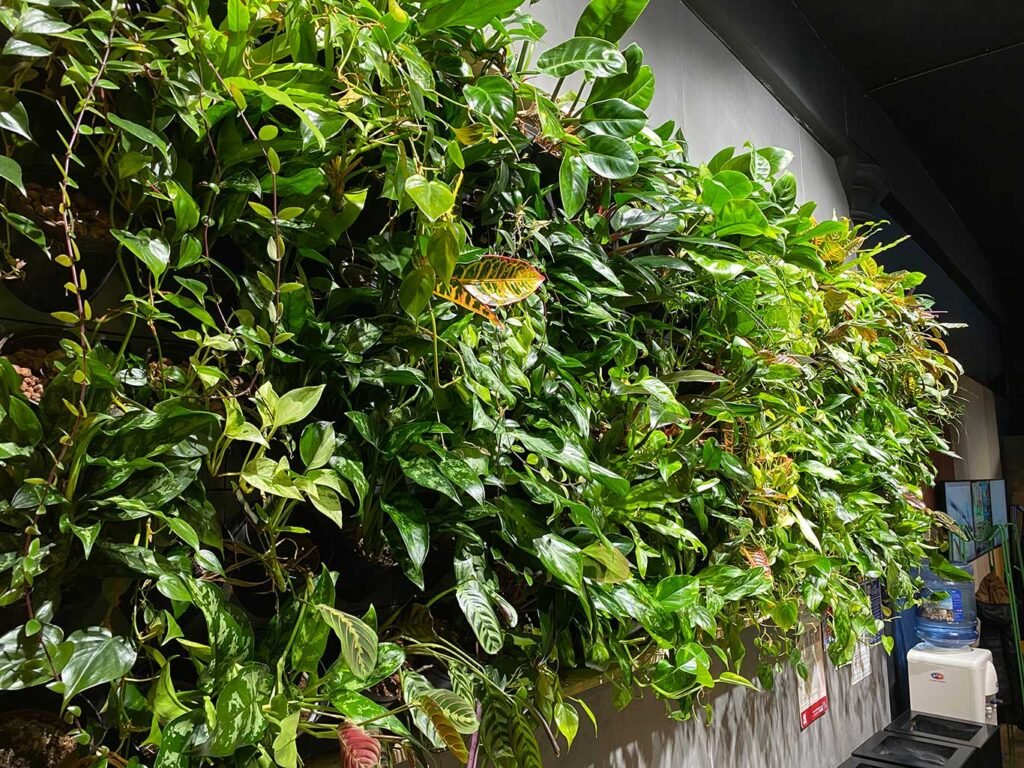 A lush living wall creates a natural escape