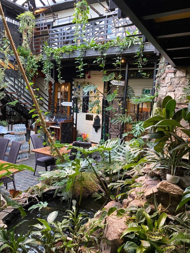 This cosy restaurant is completely surrounded with plants, creating an atmospheric experience for guests.
