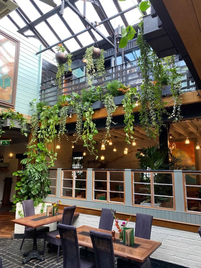 Long trails of plants at high levels provide a nice tropical feel