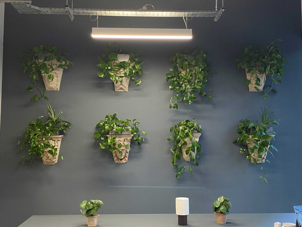 Wall planters liven up this otherwise plain wall and create an aesthetic experience for clients and customers