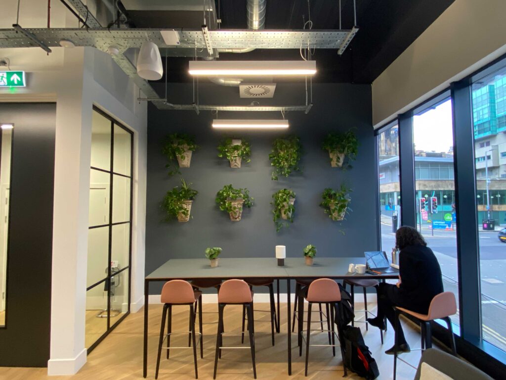These rustic wall planters with trailing plants create a unique display for this space