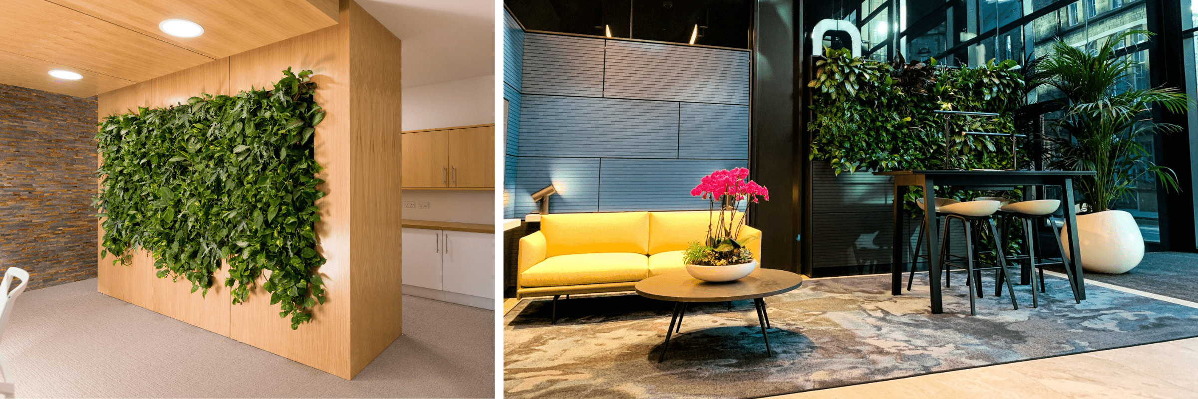 the-connection-between-green-walls-and-employee-health-2