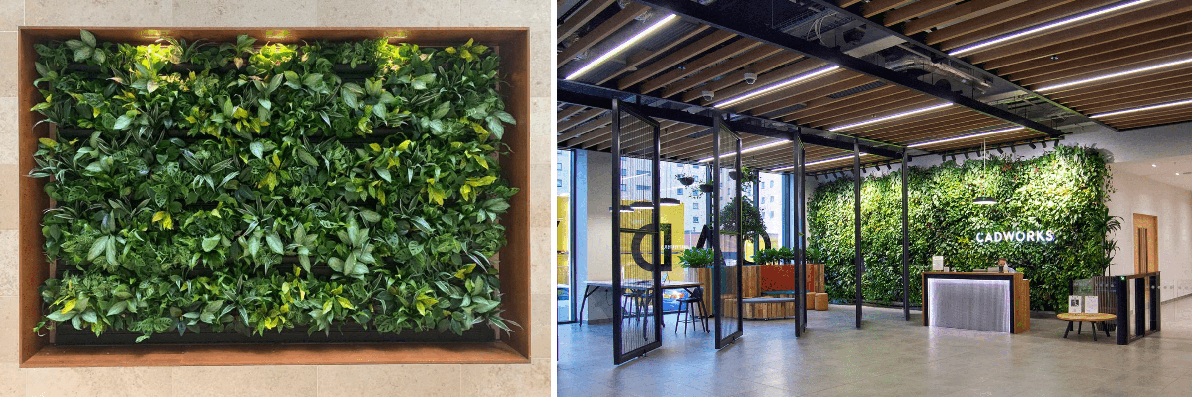 the-connection-between-green-walls-and-employee-health-3