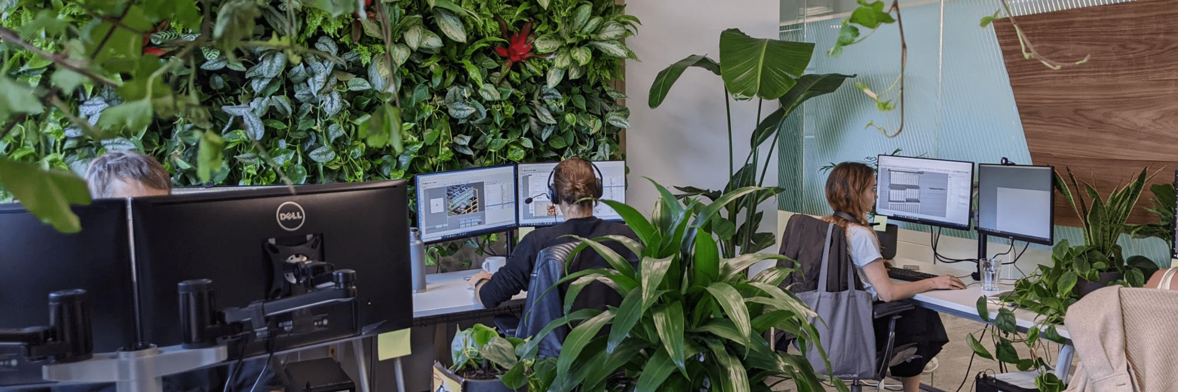 the-connection-between-green-walls-and-employee-health-4
