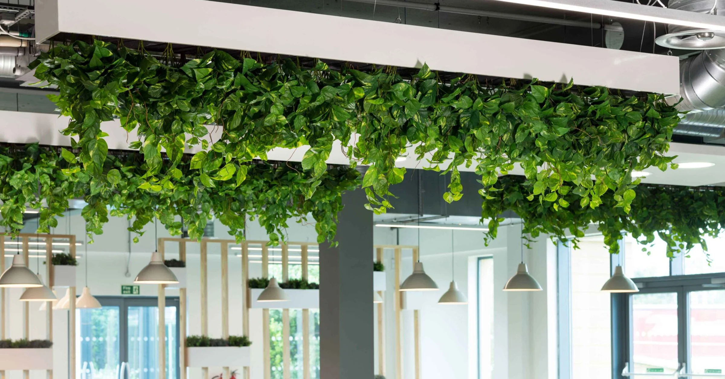 upside-down-trough-planters-on-ceiling-with-artficial-trailing-foliage