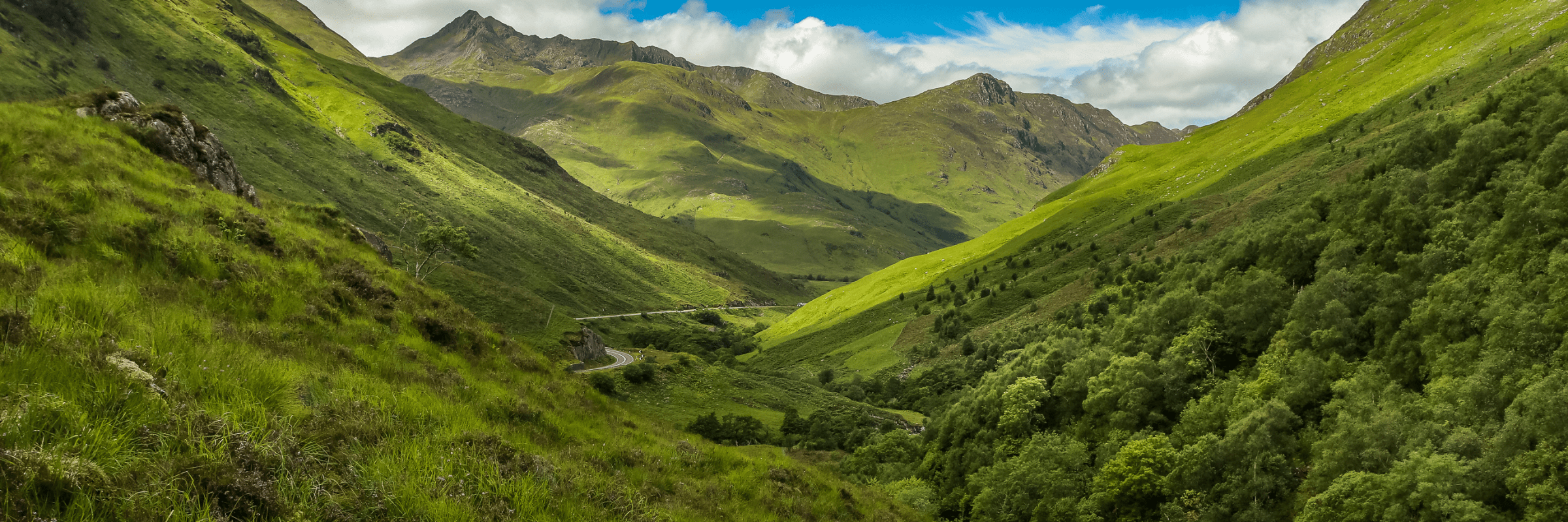 green-landscape-image