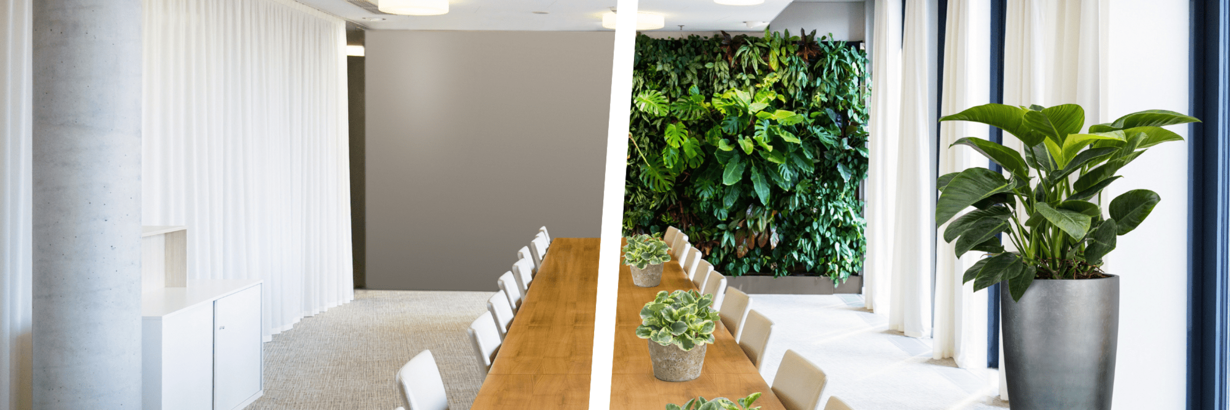 difference-between-empty-room-and-room-with-plants