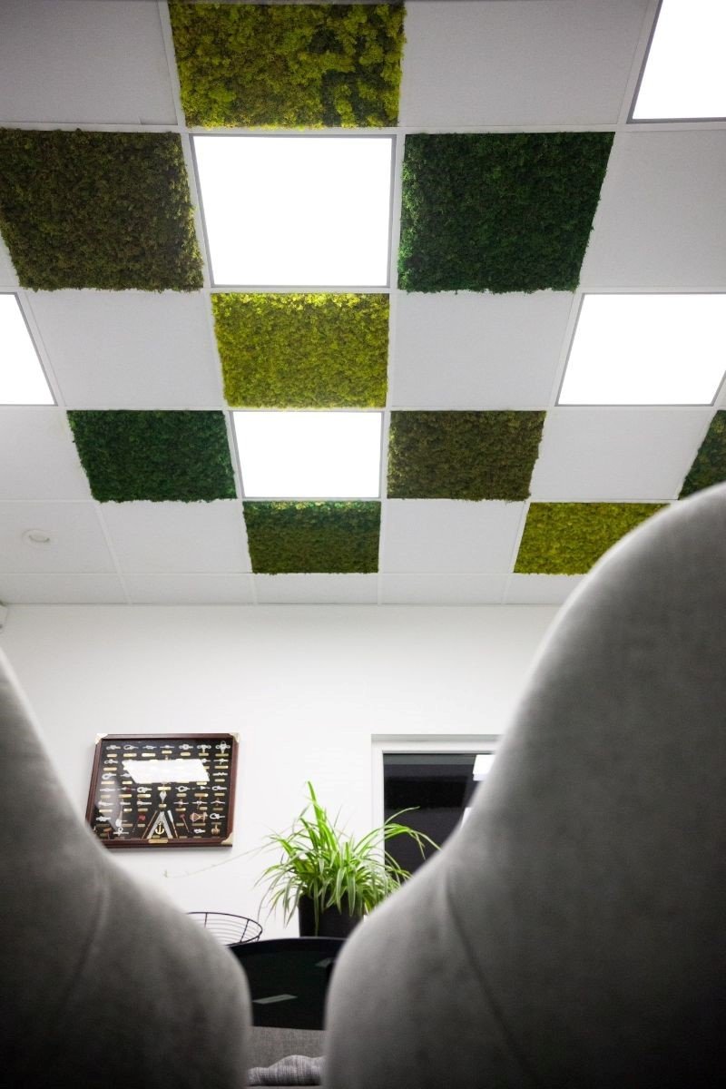 moss-ceilings-a-new-way-to-bring-nature-indoors-image-1