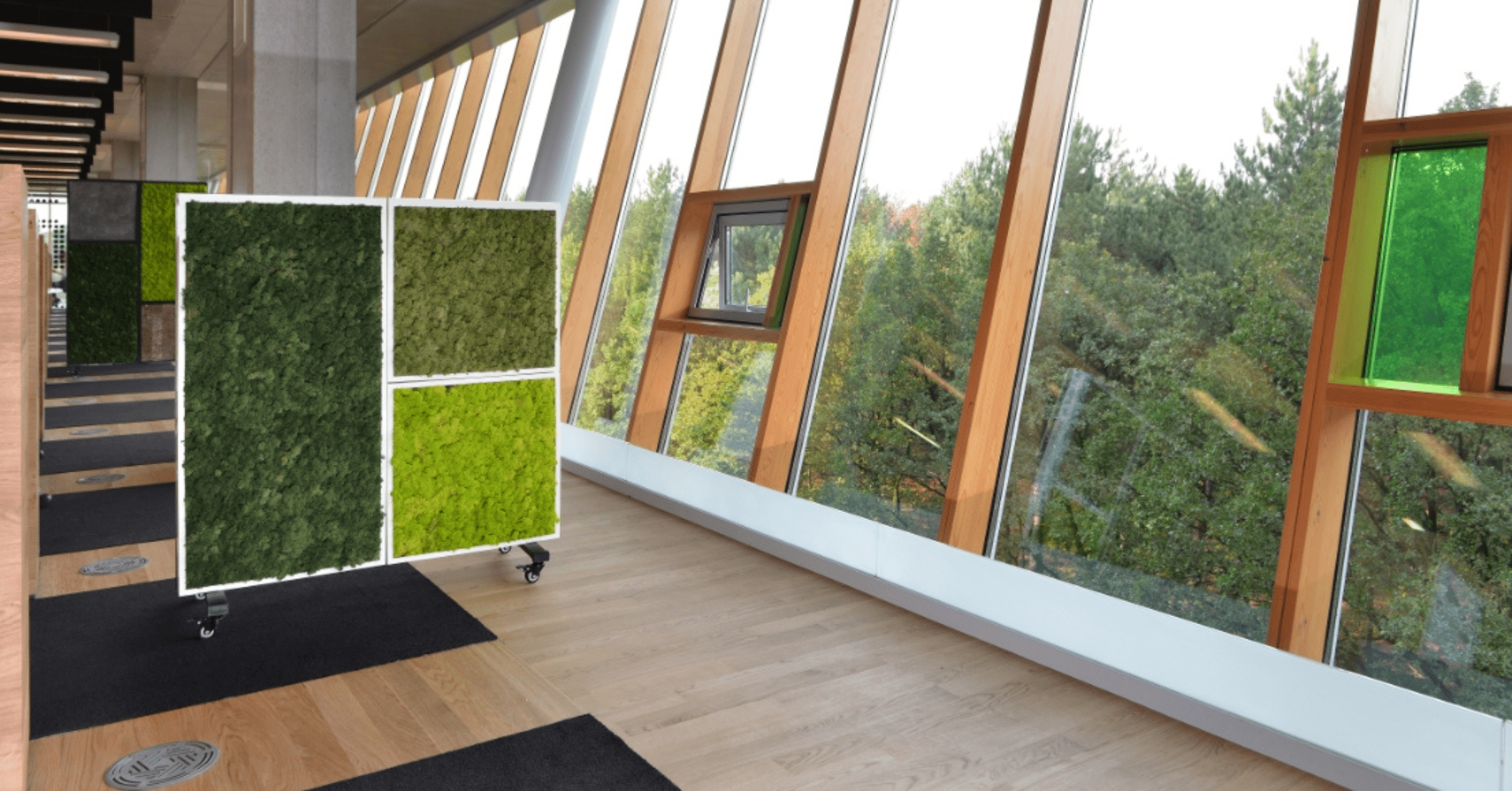 biomontage-room-dividers-2